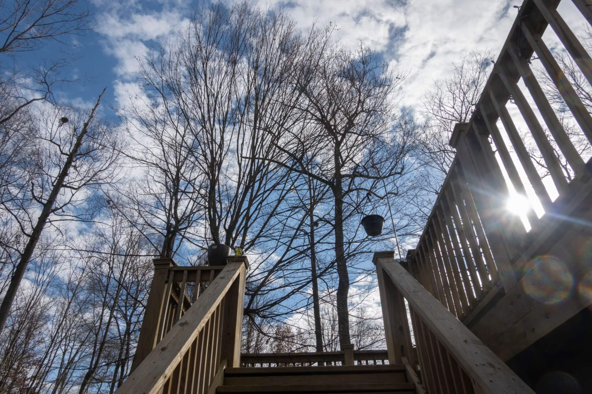 View from below of leafless trees and stairs against a cloudy sky.